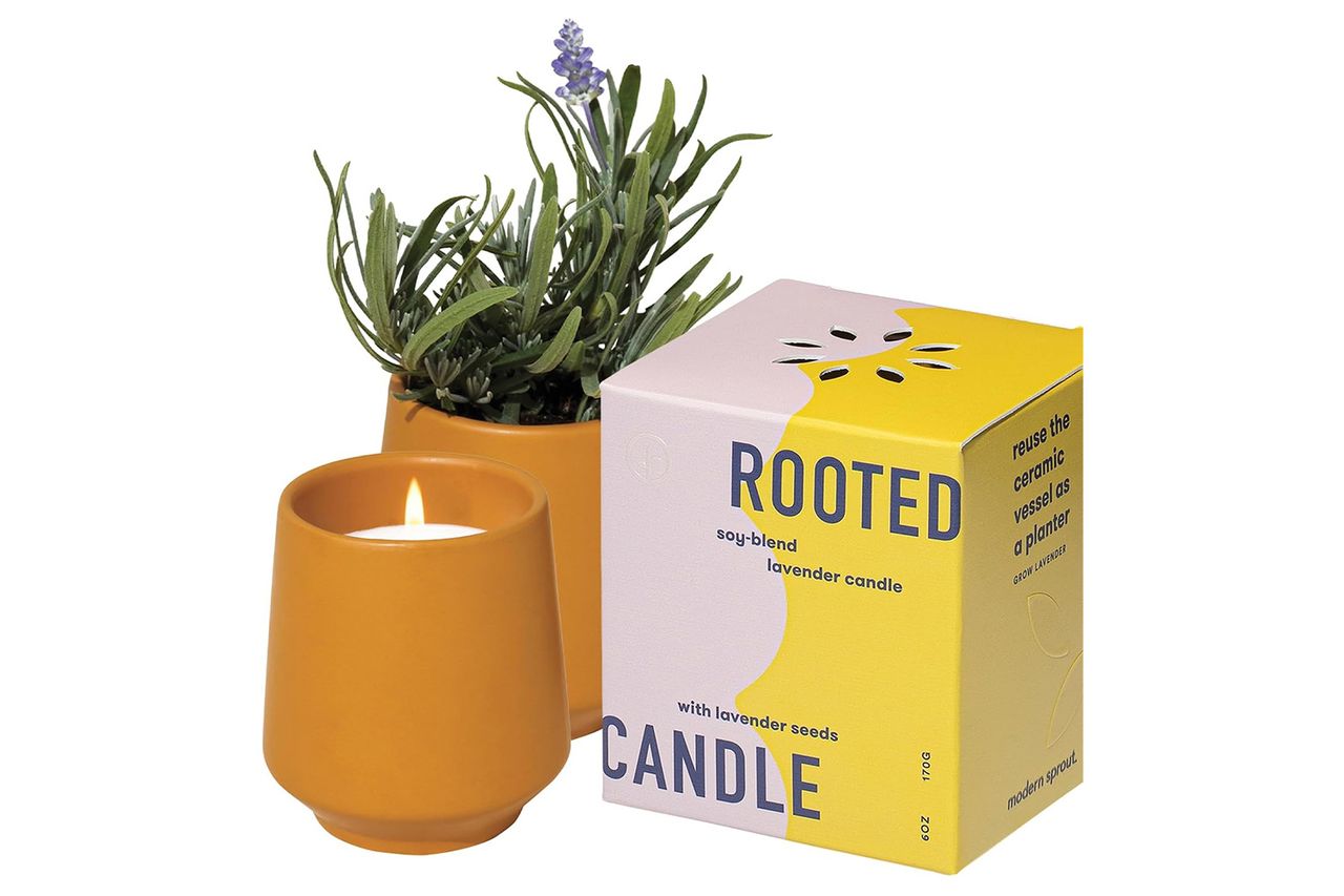 Modern Sprout 2 in 1 Cedarwood Scented & Soy Candle Credit: Amazon