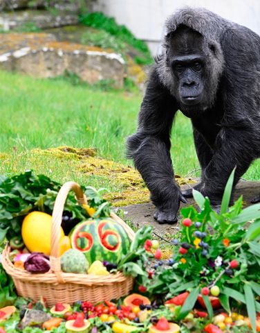 Fatou, pictured on April 13, 2023Credit: TOBIAS SCHWARZ/AFP via Getty