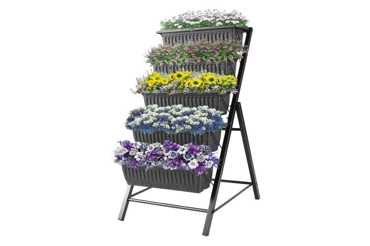 Credit: Wayfair