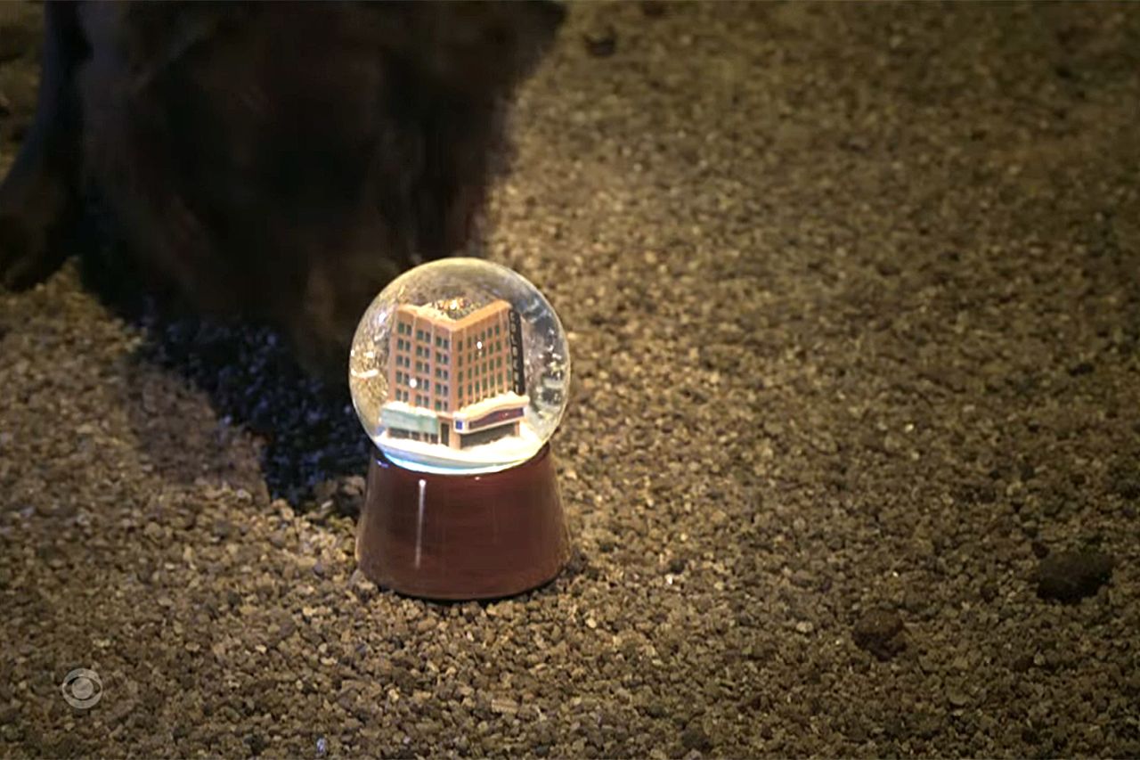 The last shot of 'The Late Show' featuring Colbert's dog BennyCredit: cbs