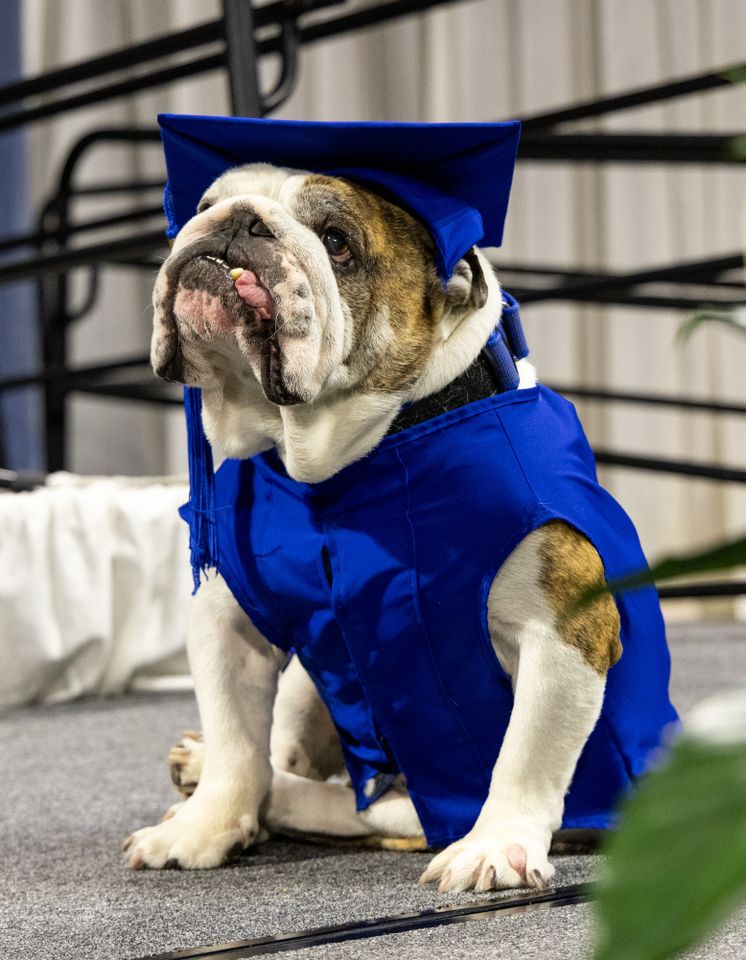 Griff IICredit: Drake University