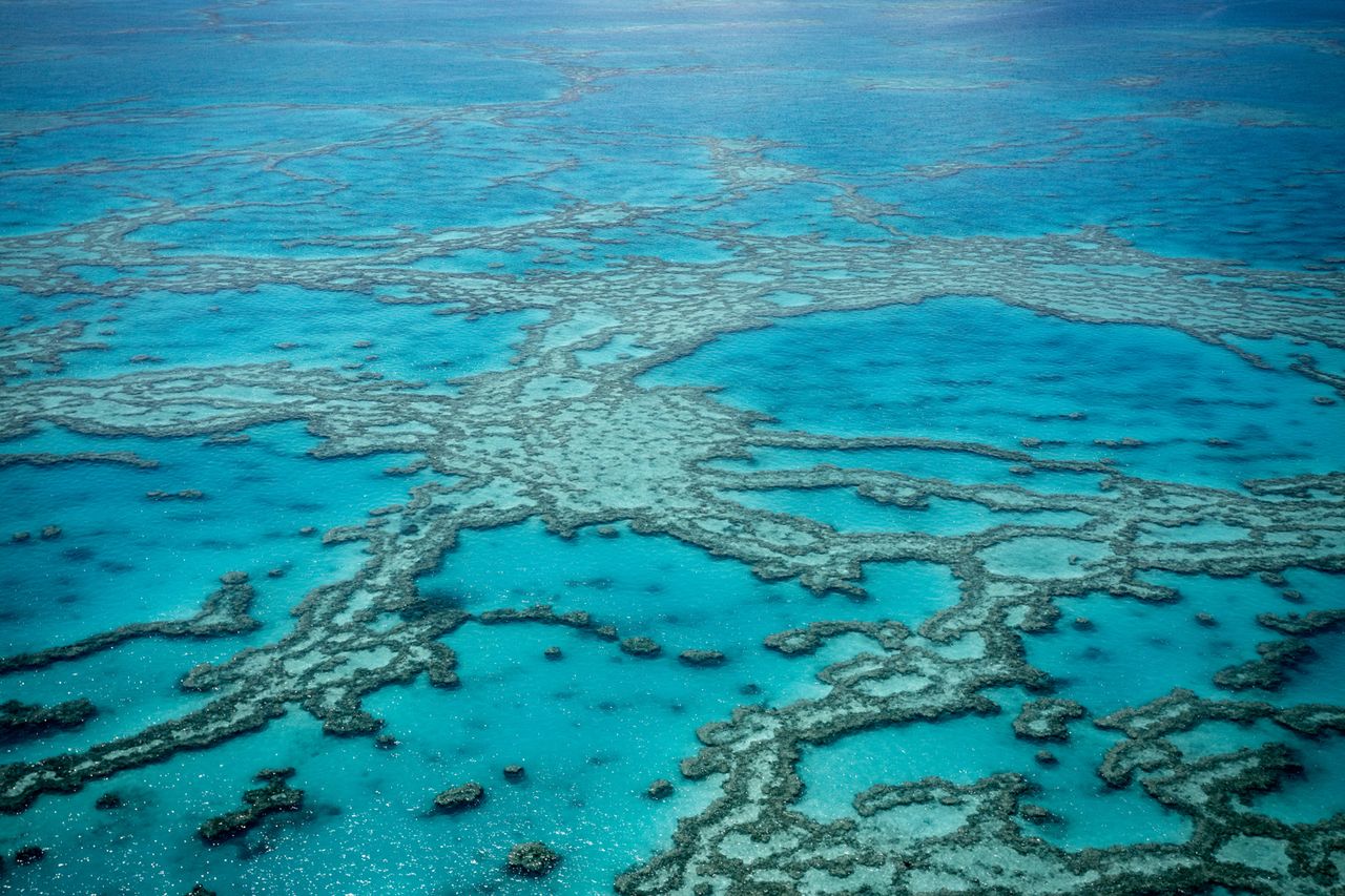 Great Barrier Reef in Australia.Credit: Getty