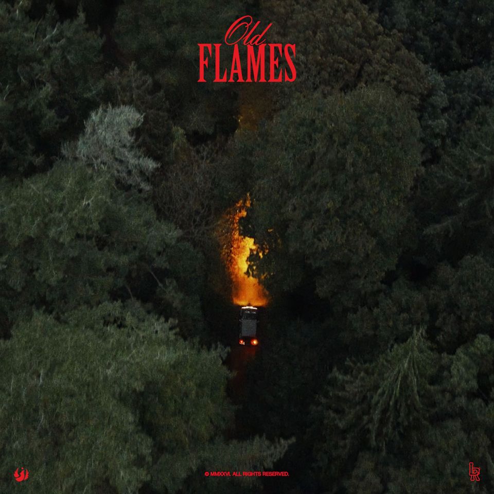 La Roux 'Old Flames' Album CoverCredit: NABIL