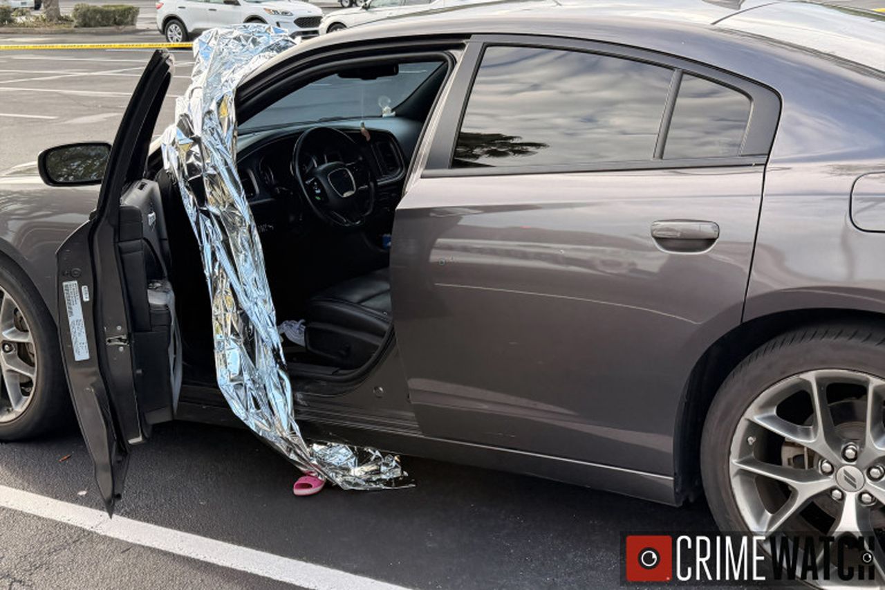 Latana Williams' carCredit: DeLand Police Department