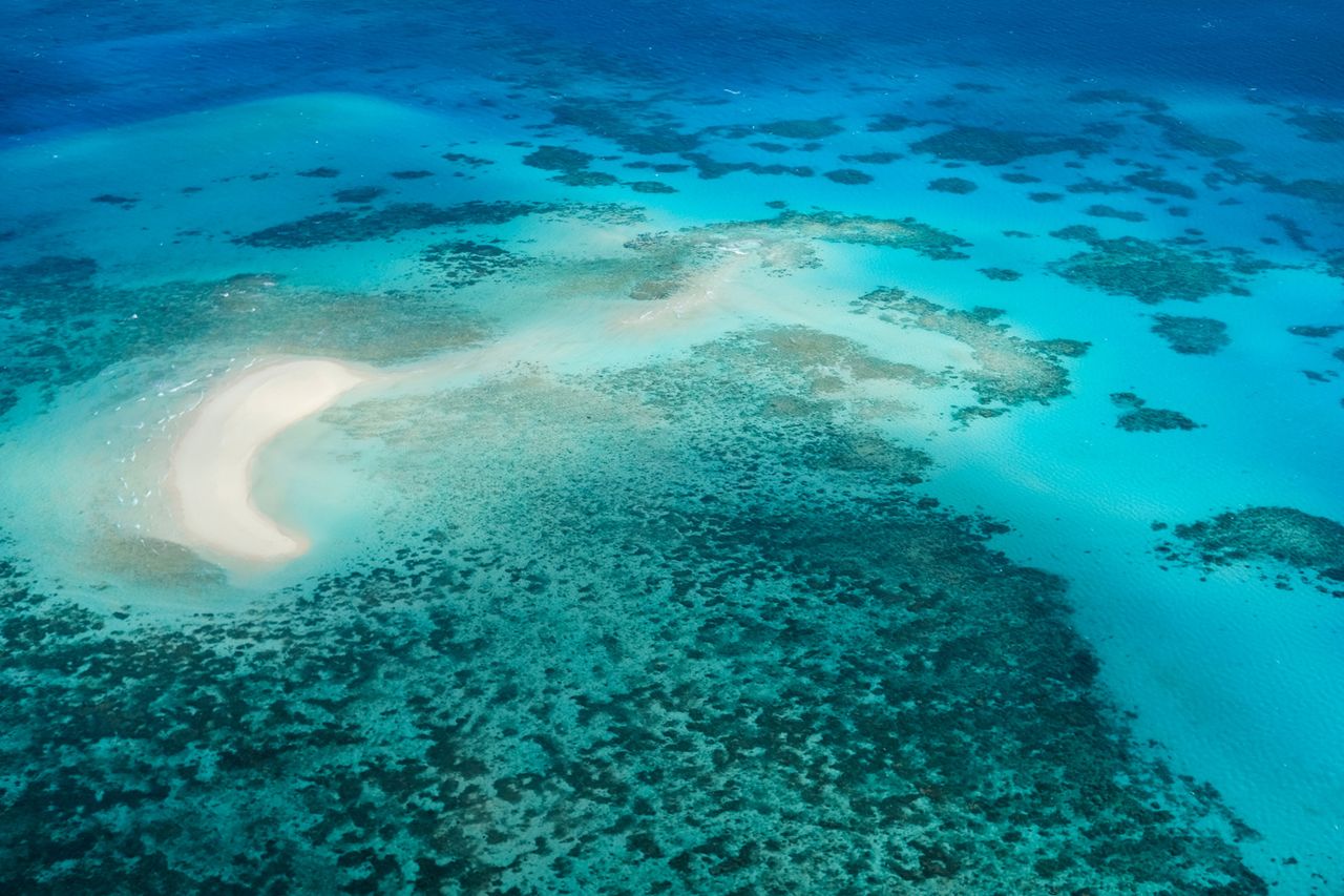 Michaelmas Cay in the Great Barrier Reef, AustraliaCredit: Getty