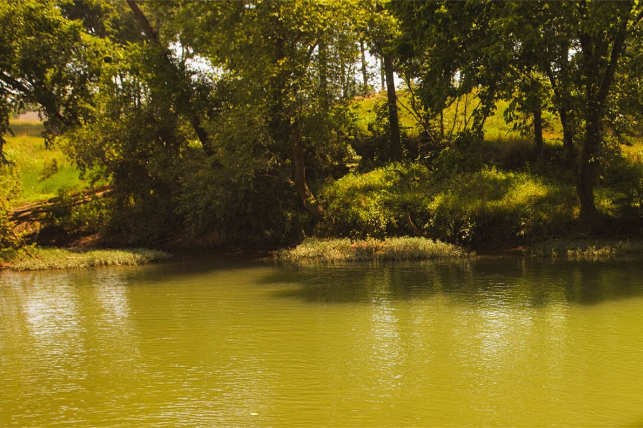 Creek at Phil Moore Park in Alvaton, Ky.Credit: cavecountrytrails