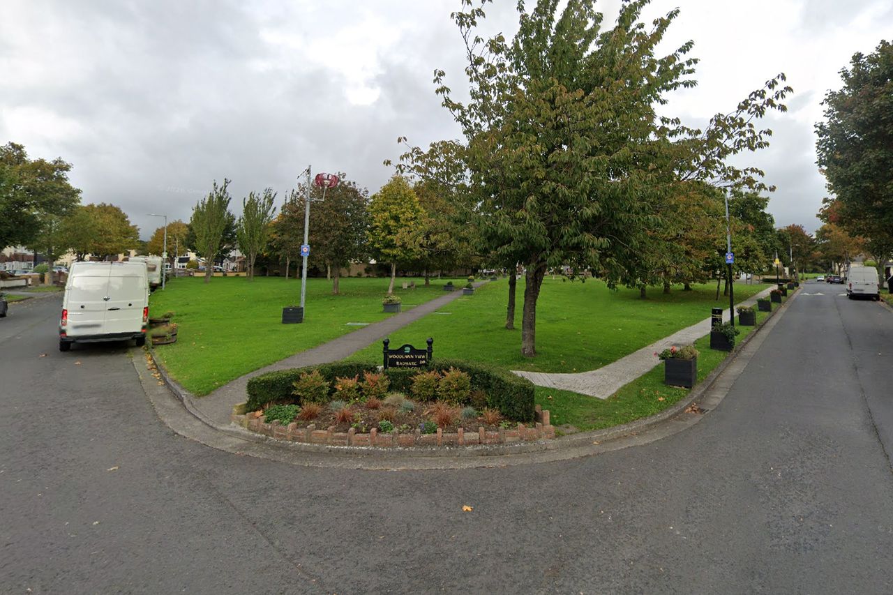 Woodlawn Close in Santry, DublinCredit: Google Maps