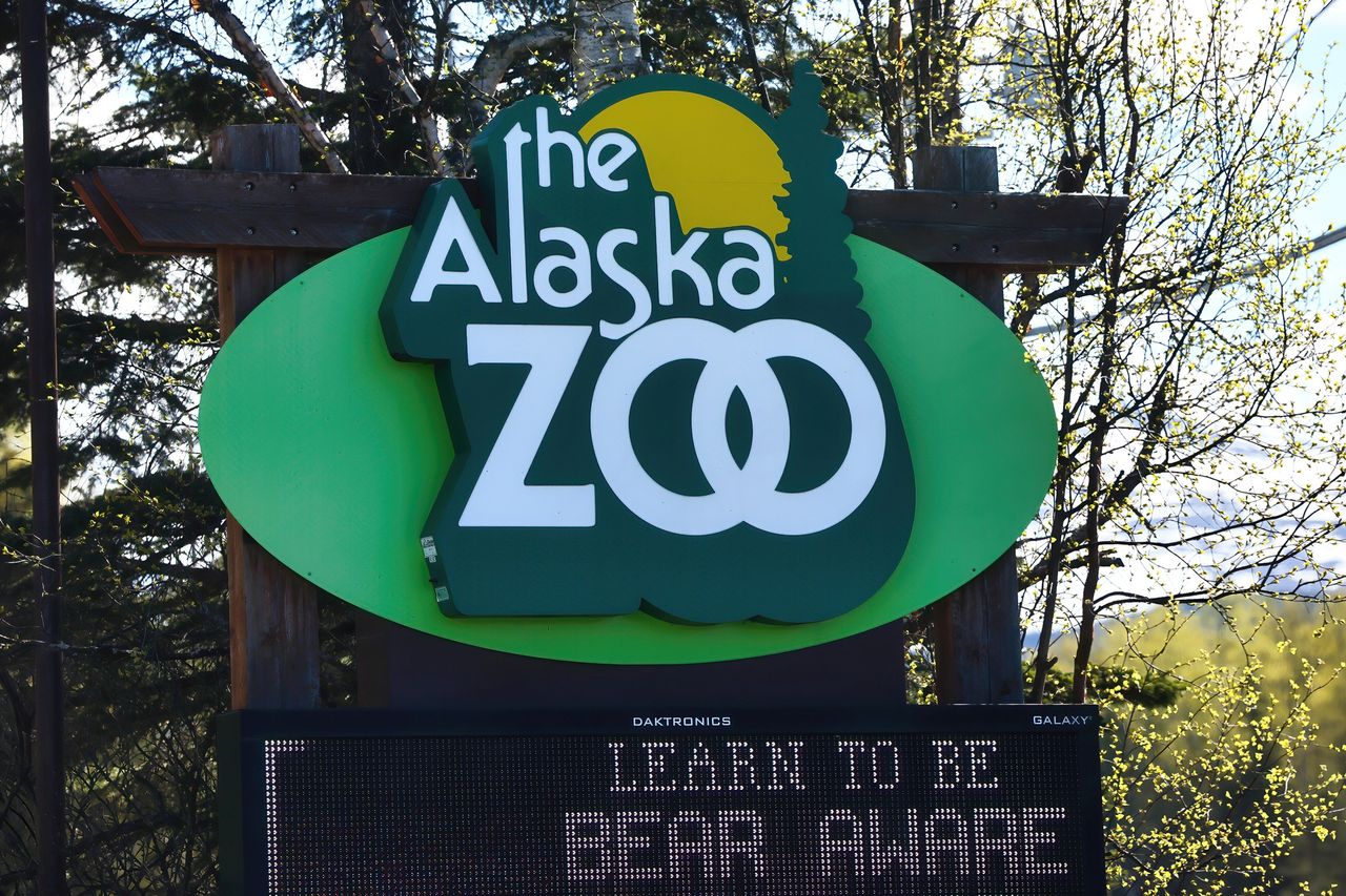 A sight for the Alaska Zoo in Anchorage, pictured in 2024Credit: Shutterstock