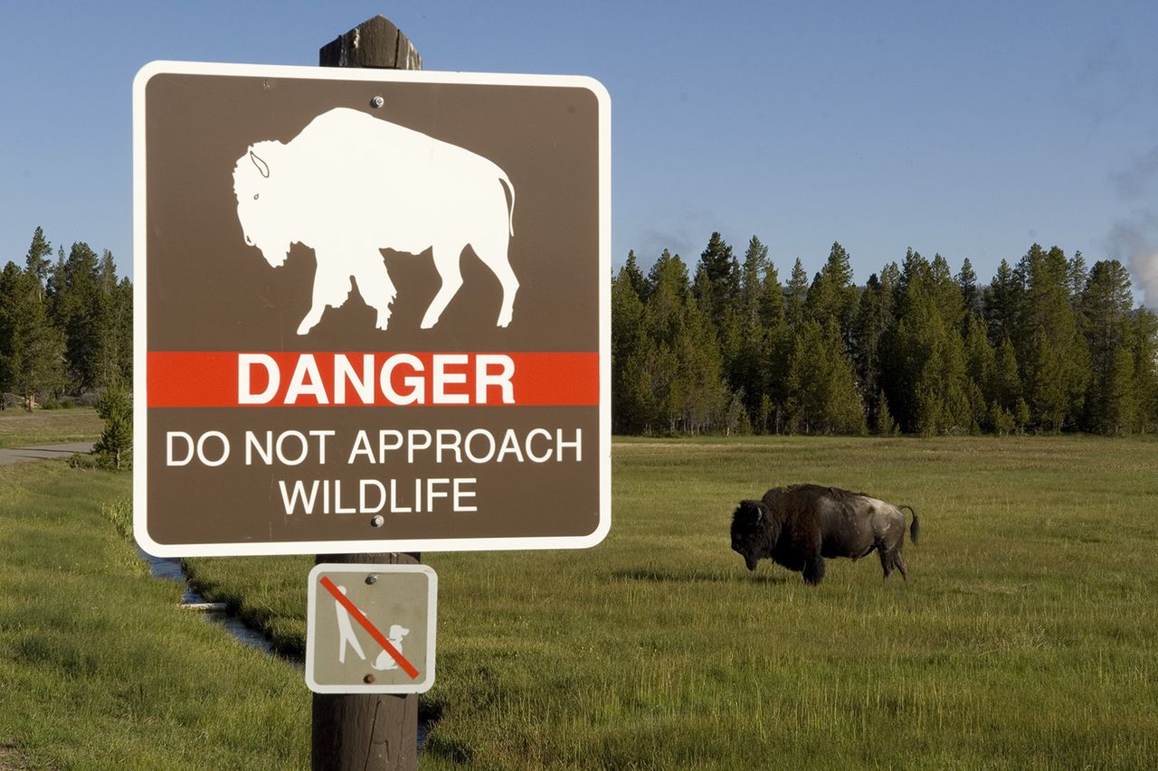 Warning sign in Yellowstone National ParkCredit: Getty Images