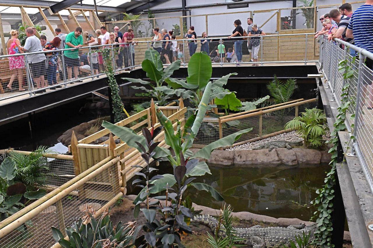Johnsons of Old Hurst crocodile farm in EnglandCredit: SWNS