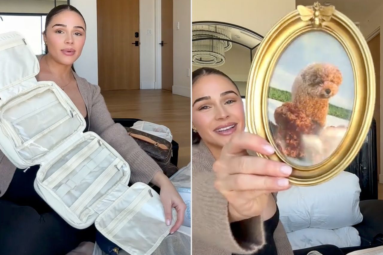 Olivia Culpo's viral hospital bag TikTok videoCredit: Olivia Culpo/TikTok