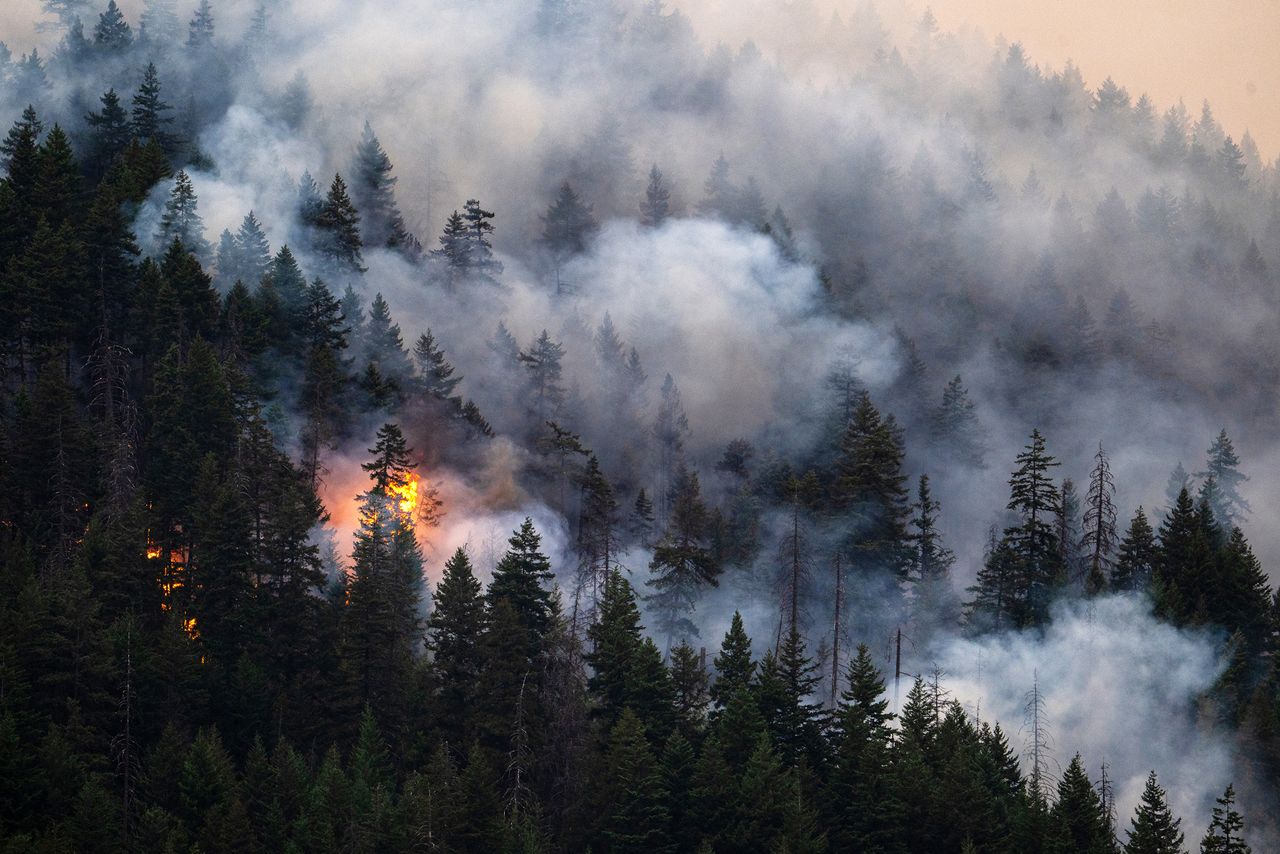 The Brunswick Creek Wildfire from in British Columbia, Canada, on July 7, 2026Credit: James MacDonald/Bloomberg via Getty
