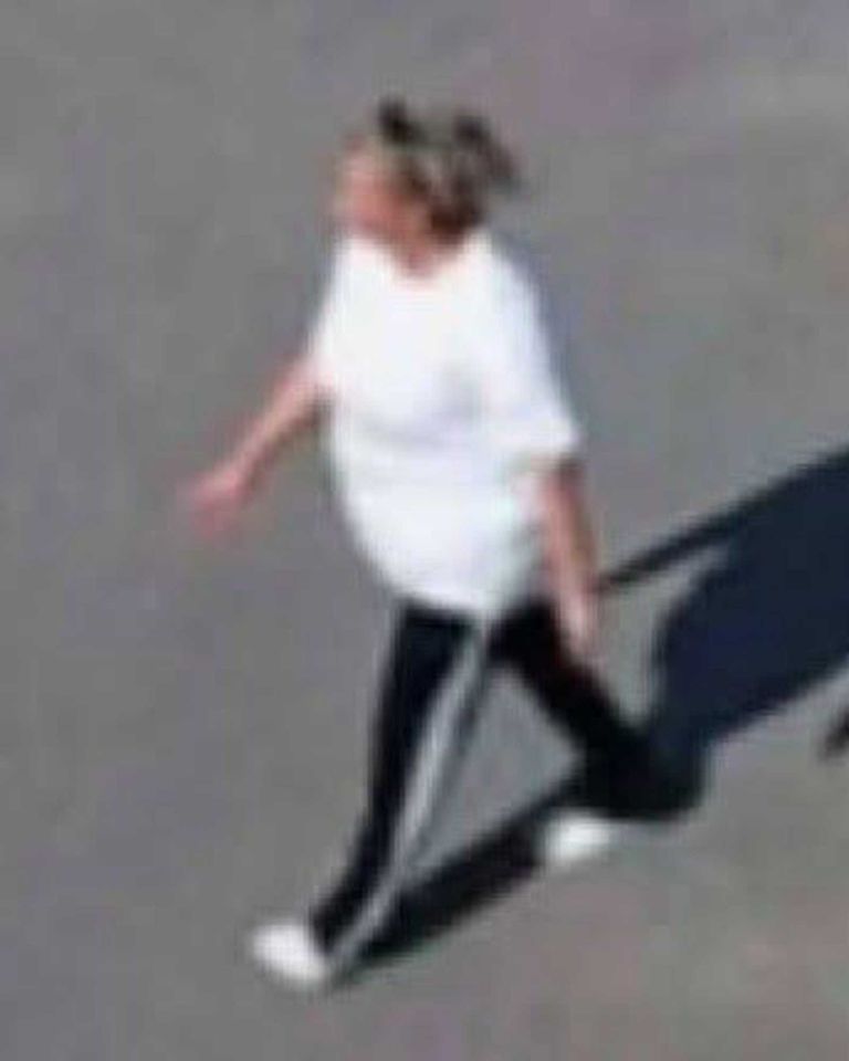 Dana Darlene AmmonsCredit: North Carolina State Bureau of Investigation/Facebook