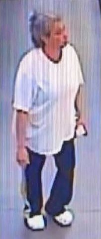 Dana Darlene AmmonsCredit: North Carolina State Bureau of Investigation/Facebook