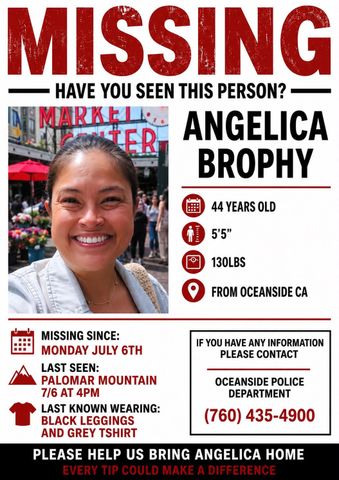 Missing poster for Angelica BrophyCredit: Family Handout