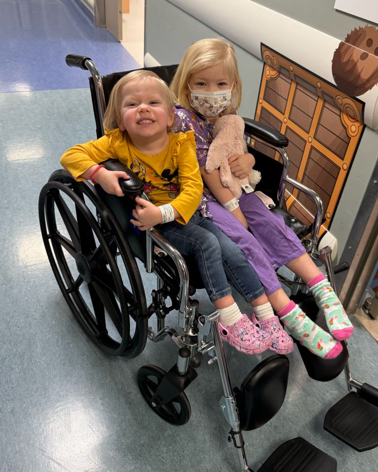 Toddler Receives Life-Saving Bone Marrow Donation from Sister The Meline sisters.Credit: Amanda Meline
