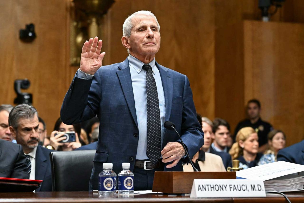 Dr. Anthony Fauci is sworn in during a Senate Homeland Security and Governmental Affairs committee hearing on Capitol Hill on July 29.Credit: Alex WROBLEWSKI / AFP via Getty
