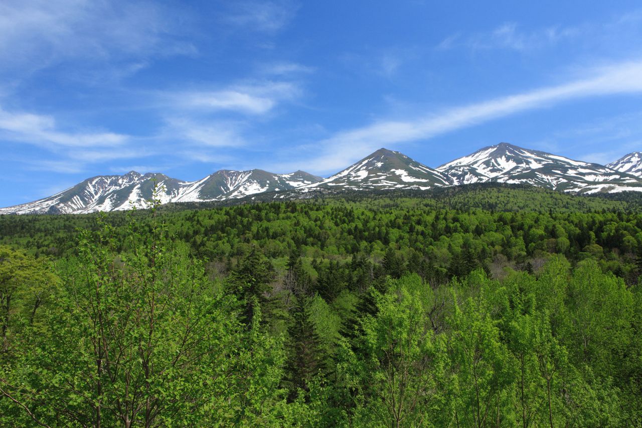 Grassland and mountains, Hokkaido A stock photo of mountains in Hokkaido, JapanCredit: Alamy
