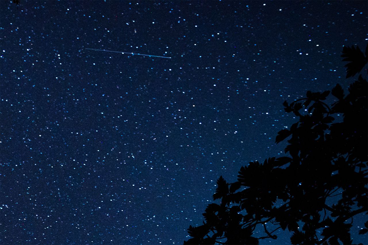 PerseidsCredit: Thilina Kaluthotage/NurPhoto via Getty