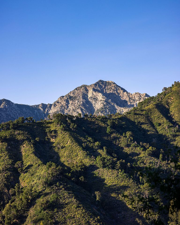 Ventana Double Cone as seen from the Pine Ridge Trail in Big Sur, California (stock image)Credit: Alamy