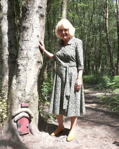 Queen Camilla visits Ashdown Forest on July 7, 2026Credit: Chris Jackson/Getty