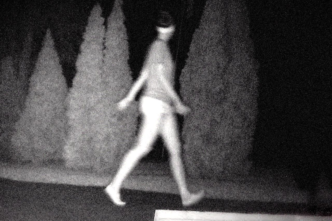 The last known sighting of Tiffany Valiante taken by a deer camera the night she disappeared.Credit: Netflix© 2022