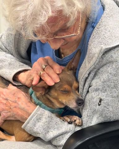 A shot of Donna James holding Mocha, with Mocha’s eyes closedCredit: Pawportunities/Instagram