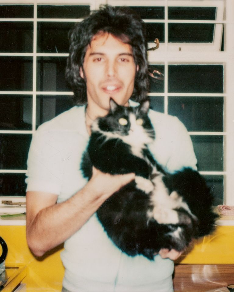 Freddie MercuryCredit: Image Courtesy of Mary Austin