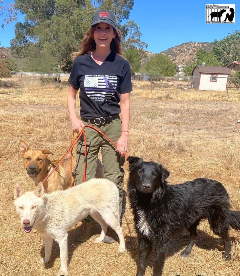 Linda Blair with dogs Linda Blair with dogsCredit: The Linda Blair Worldheart Foundation/Instagram