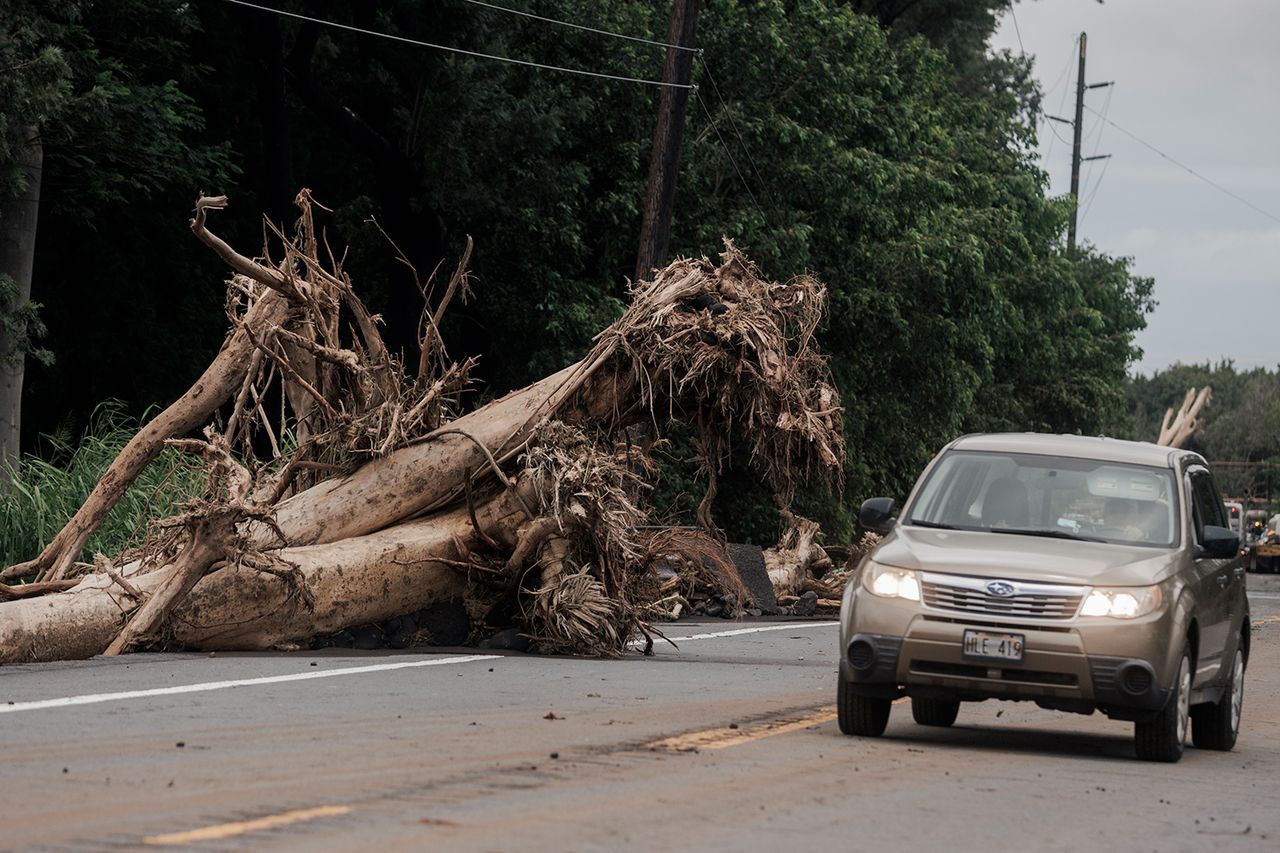 A vehicle drives near Pahala, Hawaii, Sunday, Aug. 16, 2026.Credit: Stephen Lam/San Francisco Chronicle/Getty