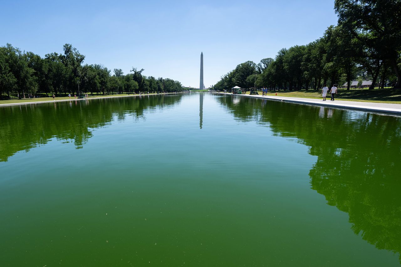Lincoln Memorial Reflecting PoolCredit: Aaron Schwartz/Bloomberg via Getty