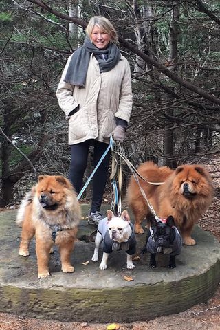 Martha Stewart and her dogs.Credit: Martha Stewart/Instagram