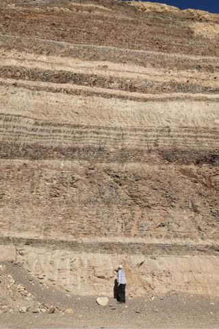 The outcrops where the fossils were foundCredit: Paleontologist Tarek Yassin