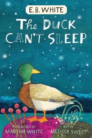 The Duck Can’t SleepCredit: HarperCollins Children's Books