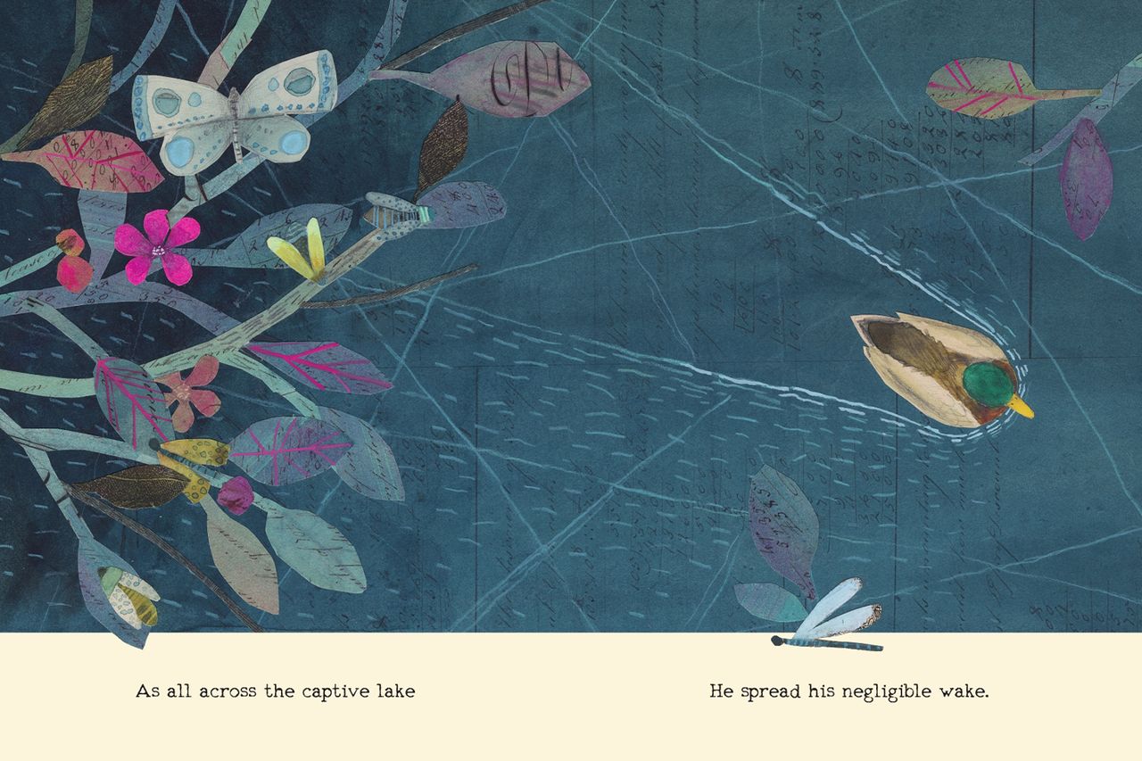 A spread from ‘The Duck Can’t Sleep’Credit: HarperCollins Children's Books