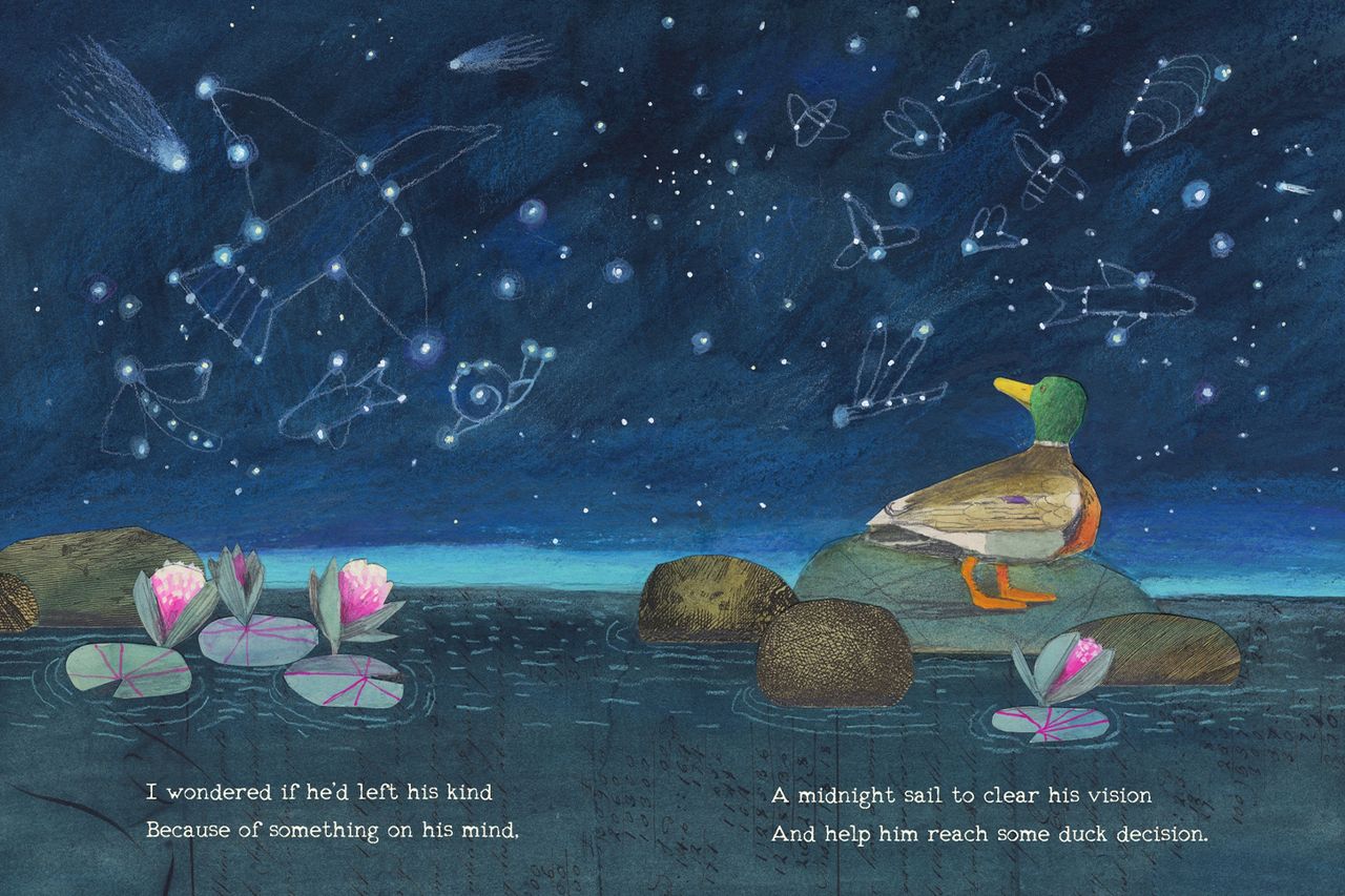 A spread from ‘The Duck Can’t Sleep’Credit: HarperCollins Children's Books