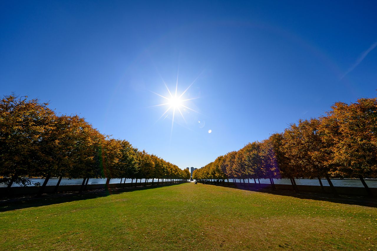 The Franklin D. Roosevelt memorial at the Four Freedoms State Park on Roosevelt Island.Credit: Roy Rochlin/Getty