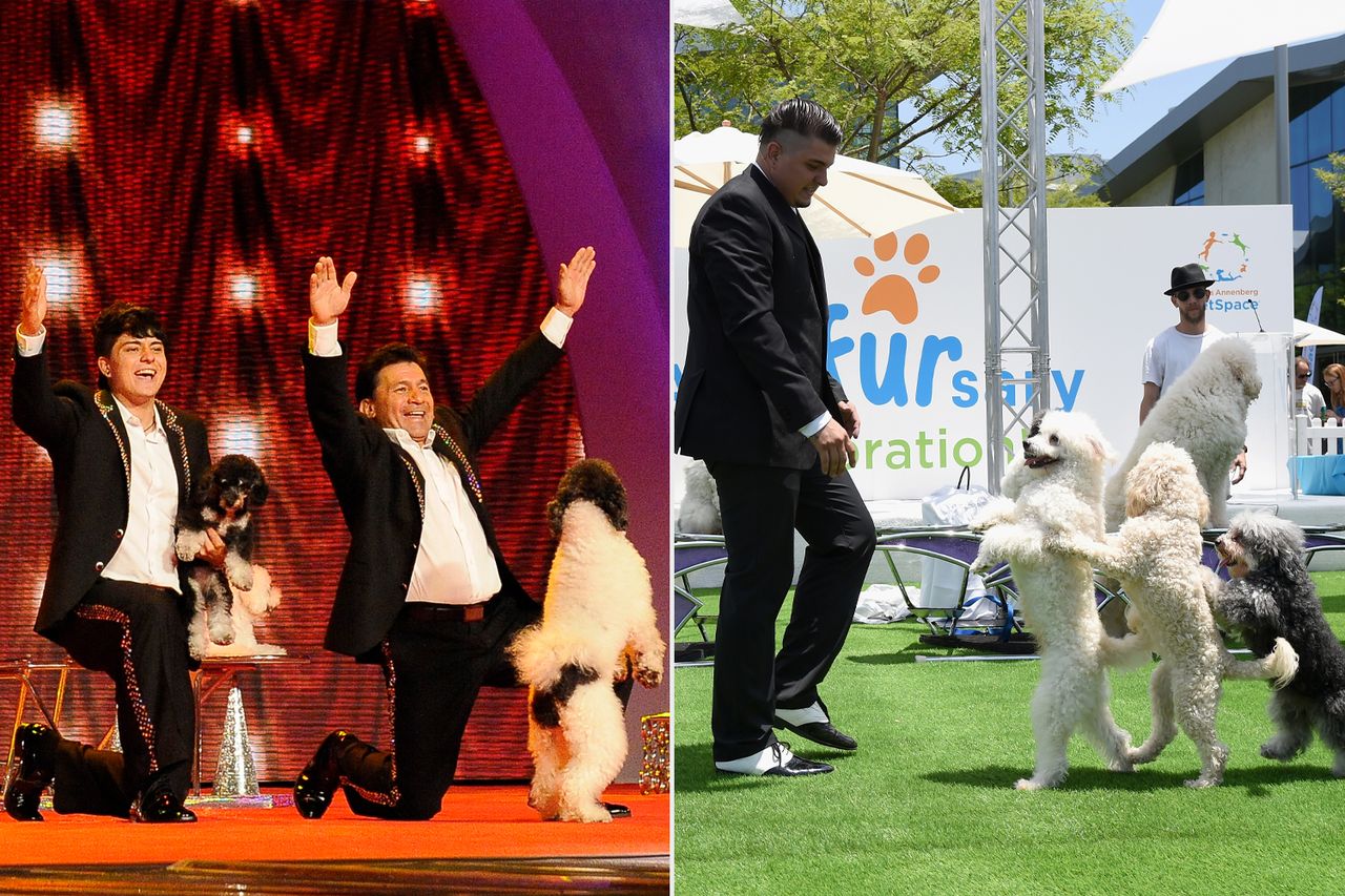 Olate Dogs in 2012 and 2018Credit: Virginia Sherwood/NBCU Photo Bank/NBCUniversal via Getty; Michael Kovac/Getty