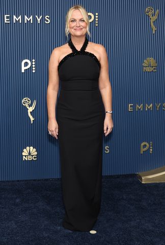 Amy Poehler attends the 78th Primetime Emmy Awards at Peacock Theater on Sept. 14, 2026Credit: Monica Schipper/Getty