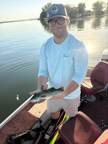 Connor NelsonCredit: gofundme