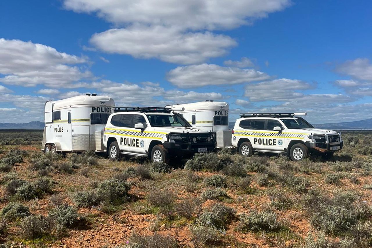 Police searching for Joshua Clifton-Demell in AustraliaCredit: South Australia Police
