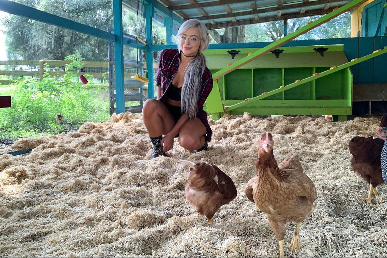 Liv Morgan and her chickens in October 2020.Credit: Liv Morgan/X