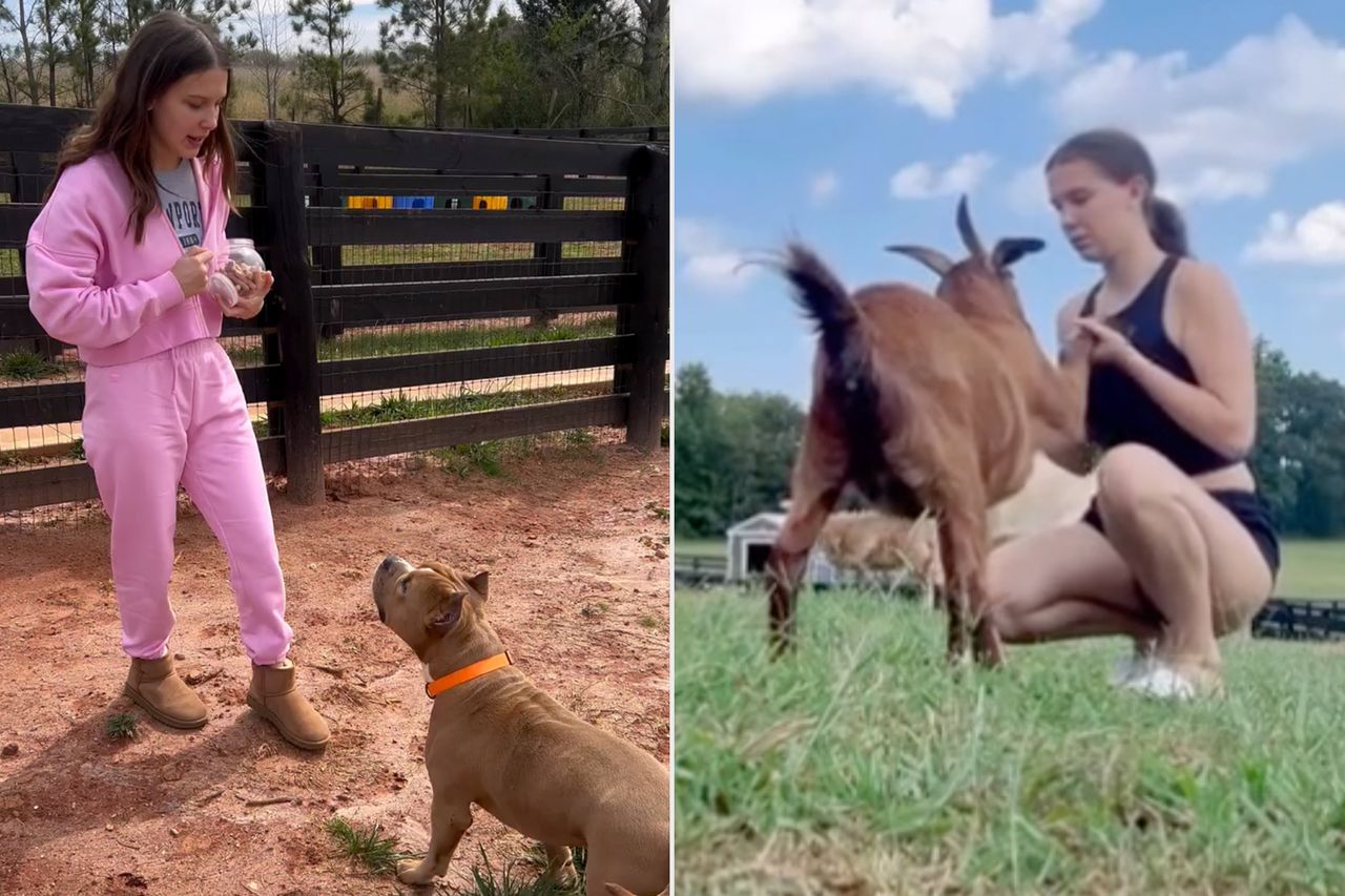 Millie Bobby Brown and her dog; Millie Bobby Brown and one of her goats.Credit: Millie Bobby Brown/Instagram (2)