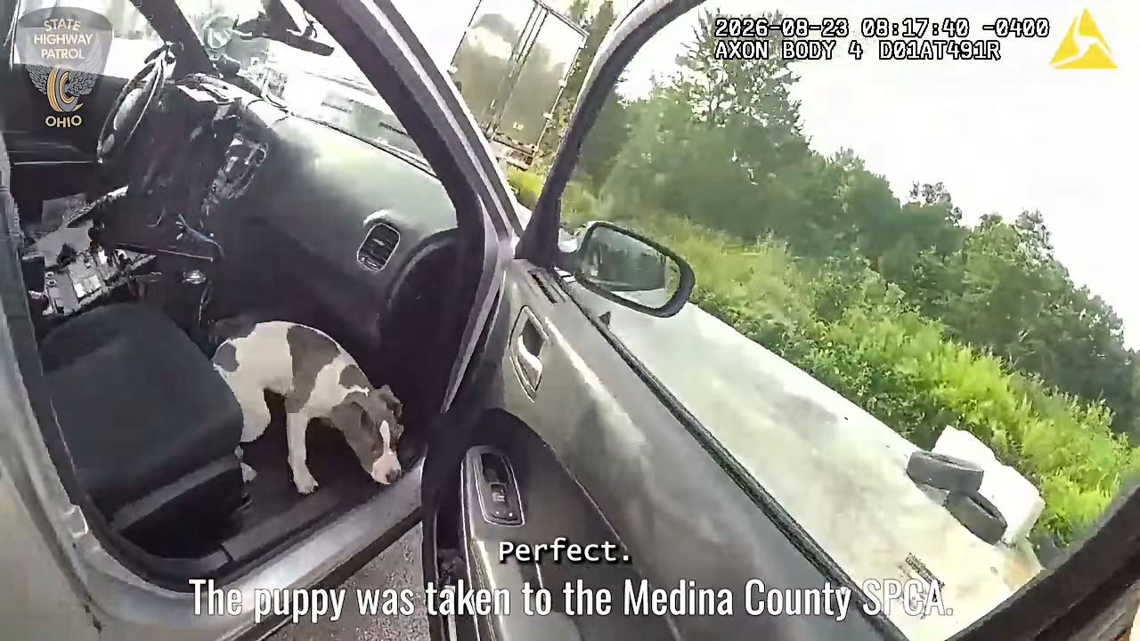 A still from Ohio State Highway Patrol bodycam footage of a trooper helping a puppy into his vehicleCredit: Ohio State Highway Patrol